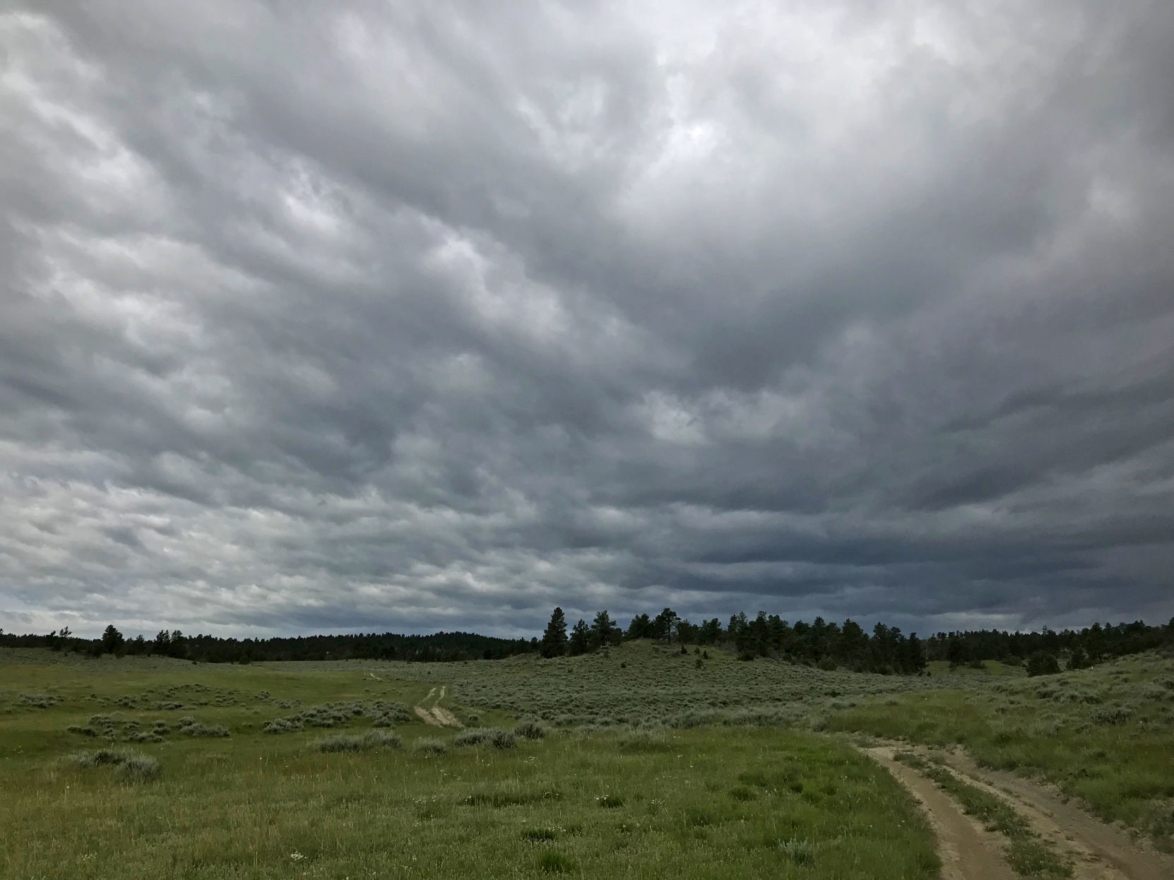 Big sky area
